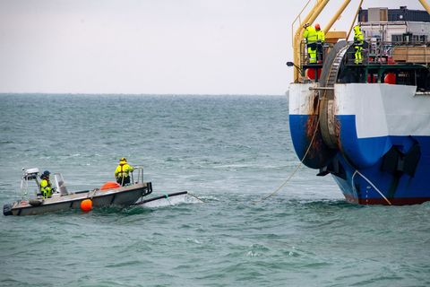 In jüngster Vergangenheit gab es wiederholt Beschädigungen von Unterseekabeln in der Ostsee. (Symbolbild) Foto: Stefan Sauer/dpa