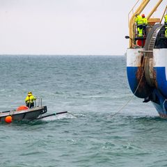 In jüngster Vergangenheit gab es wiederholt Beschädigungen von Unterseekabeln in der Ostsee. (Symbolbild) Foto: Stefan Sauer/dpa