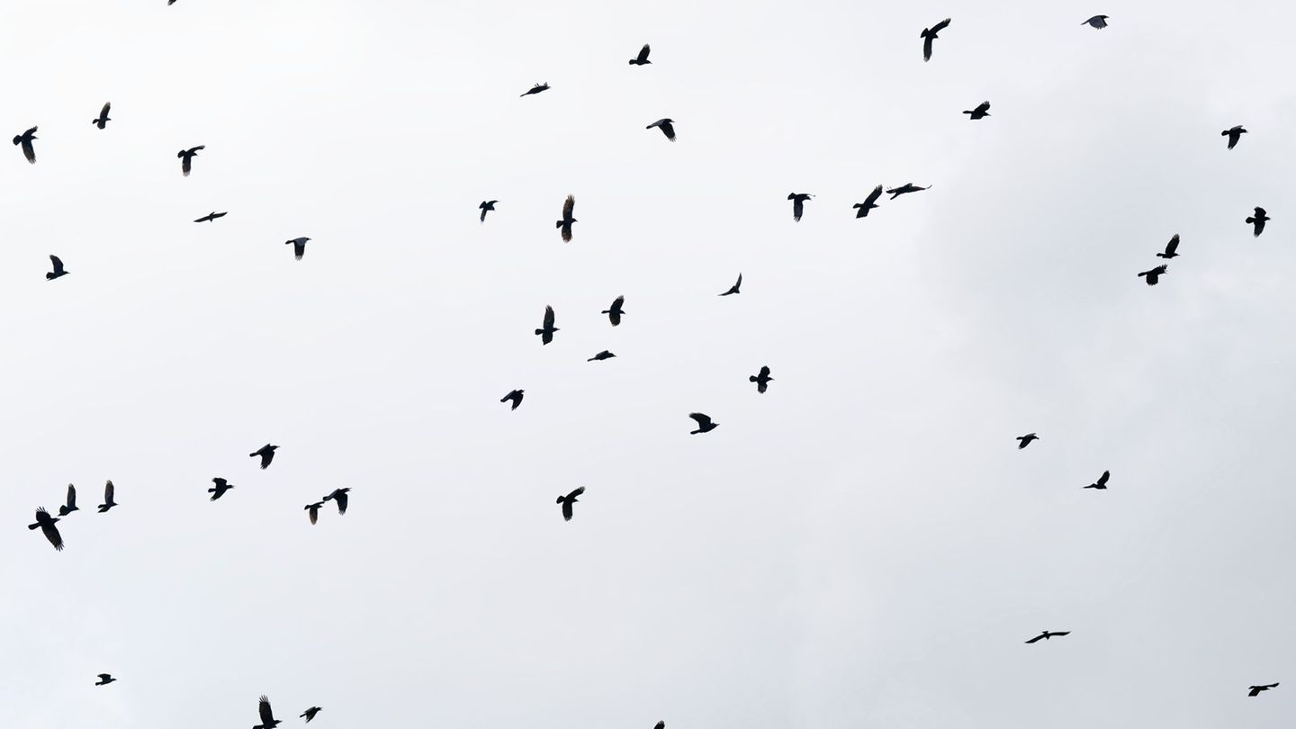 Wetter: Wochenstart in Hessen bewölkt und zeitweise nass