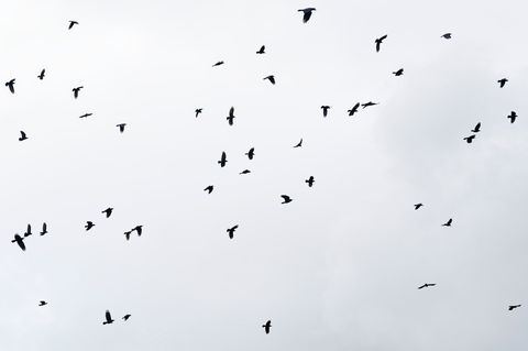 Die Woche startet mit Wolken in Hessen - zeitweise kann es Regen geben. (Symbolfoto) Foto: Uwe Anspach/dpa