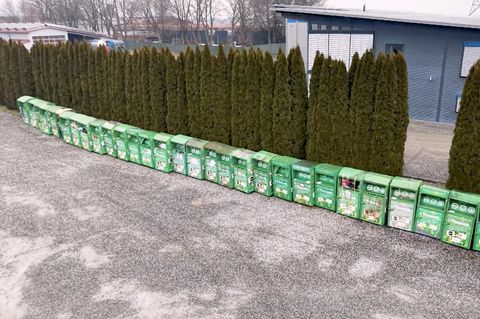 Container in einer Reihe