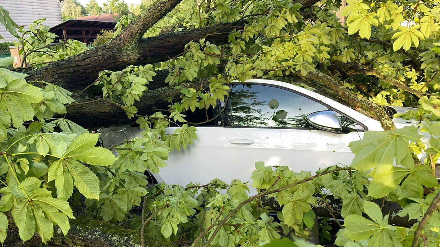 Versicherungswirtschaft: Weniger Unwetterschäden an Autos im Saarland gemeldet
