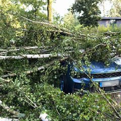 Bäume, die auf Autos stürzen, und andere Naturgefahren durch Unwetter richteten vergangenes Jahr deutlich weniger Schäden an. (A