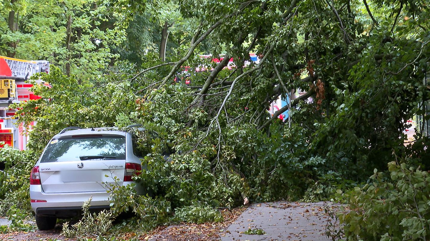 Sturm, Hagel und Blitz richteten vergangenes Jahr in Hamburg deutlich weniger Schäden an Autos an. (Archivbild) Foto: Fabian Höf
