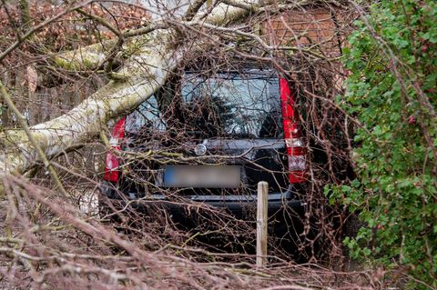 Im Vergleich zu 2024 sank die Zahl der Unwetterschäden an Autos. (Archivbild) Foto: Daniel Bockwoldt/dpa