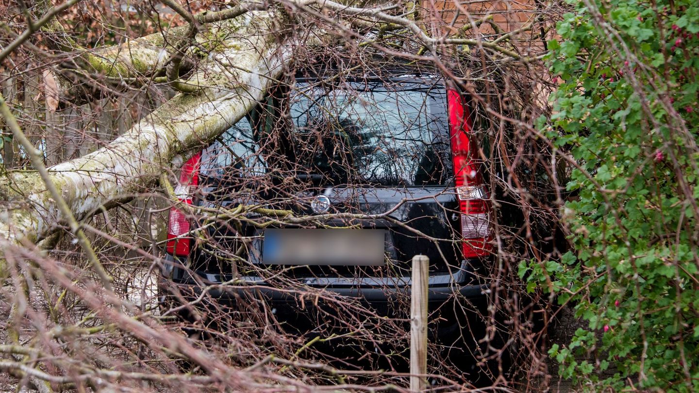 Im Vergleich zu 2024 sank die Zahl der Unwetterschäden an Autos. (Archivbild) Foto: Daniel Bockwoldt/dpa