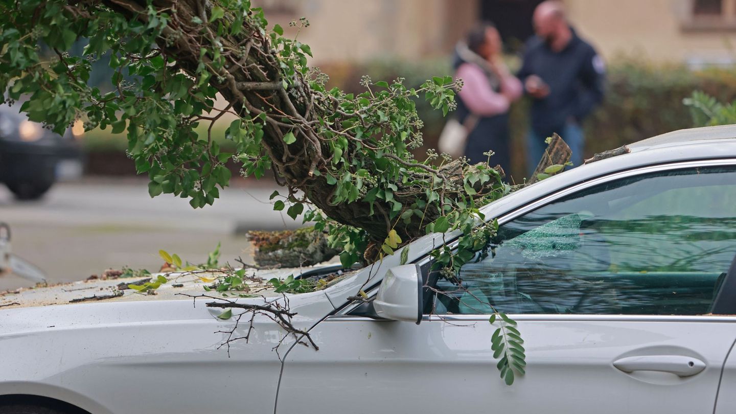 2025 gab es in Sachsen-Anhalt deutlich weniger Unwetterschäden als im Vorjahr. (Archivbild) Foto: Matthias Bein/dpa