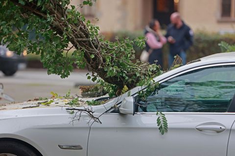 2025 gab es in Sachsen-Anhalt deutlich weniger Unwetterschäden als im Vorjahr. (Archivbild) Foto: Matthias Bein/dpa