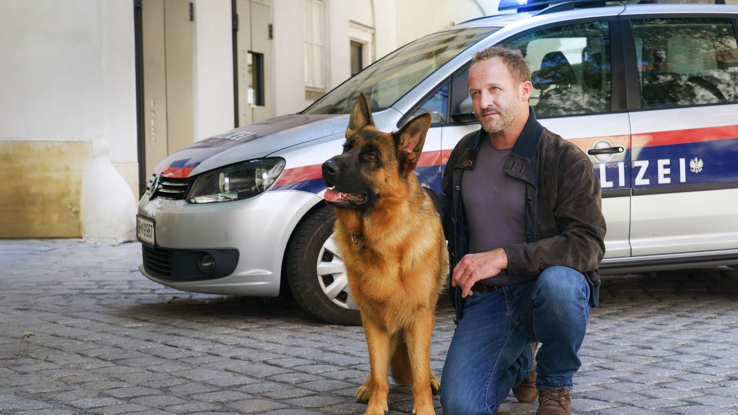 Fernsehen: "Kommissar Rex" ist zurück