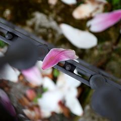 Nach einer frühlingshaften ersten Aprilwoche macht sich Regen breit. Foto: Karl-Josef Hildenbrand/dpa