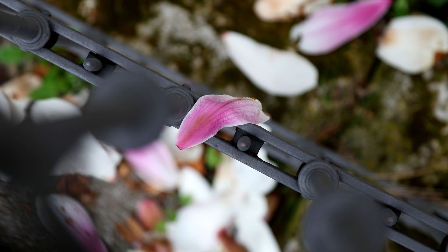 Nach einer frühlingshaften ersten Aprilwoche macht sich Regen breit. Foto: Karl-Josef Hildenbrand/dpa