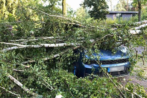 Bäume, die auf Autos stürzen und andere Naturgefahren richteten vergangenes Jahr deutlich weniger Schäden an. (Archivbild) Foto: