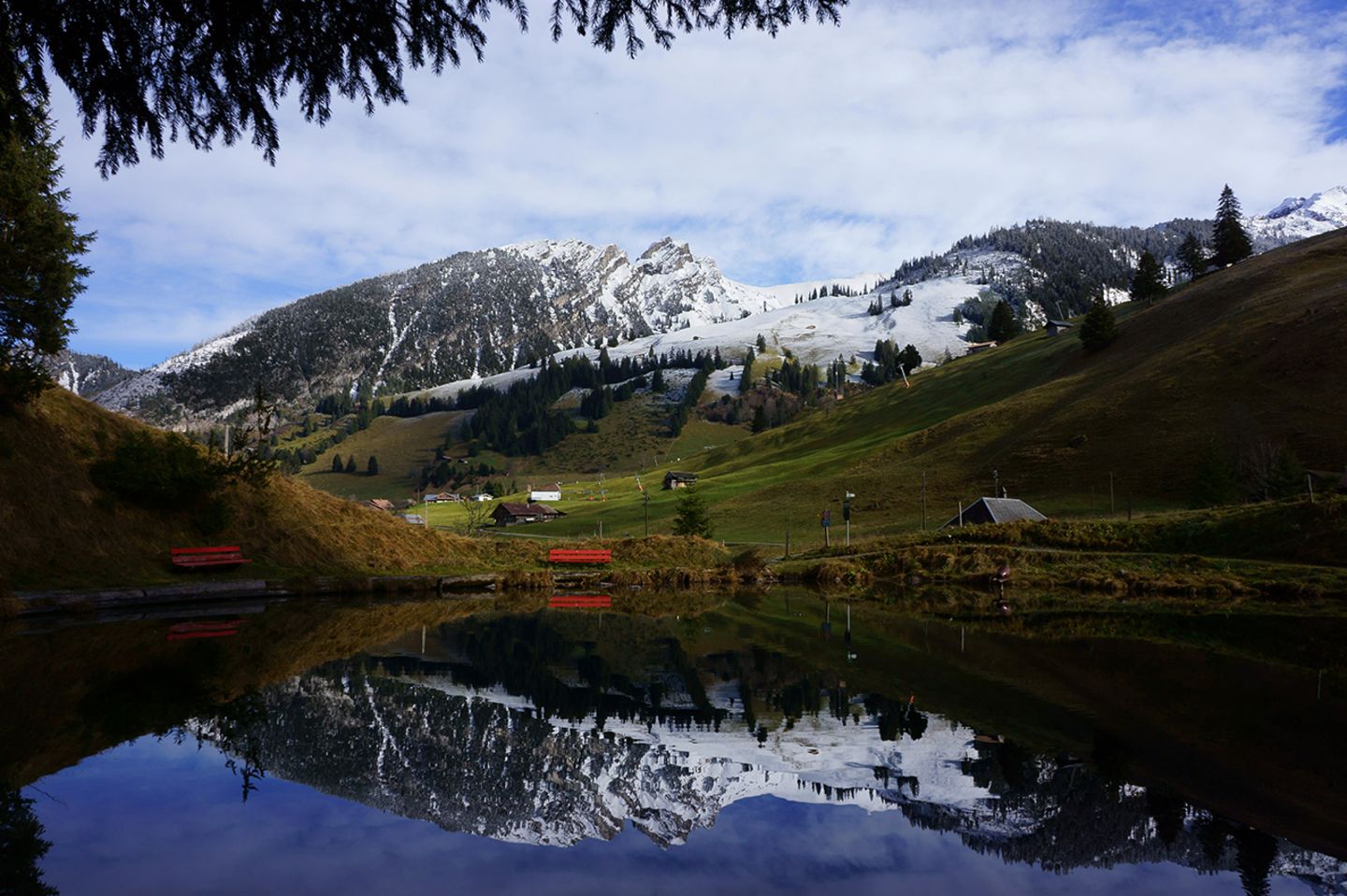 Albert Schweizer Weg