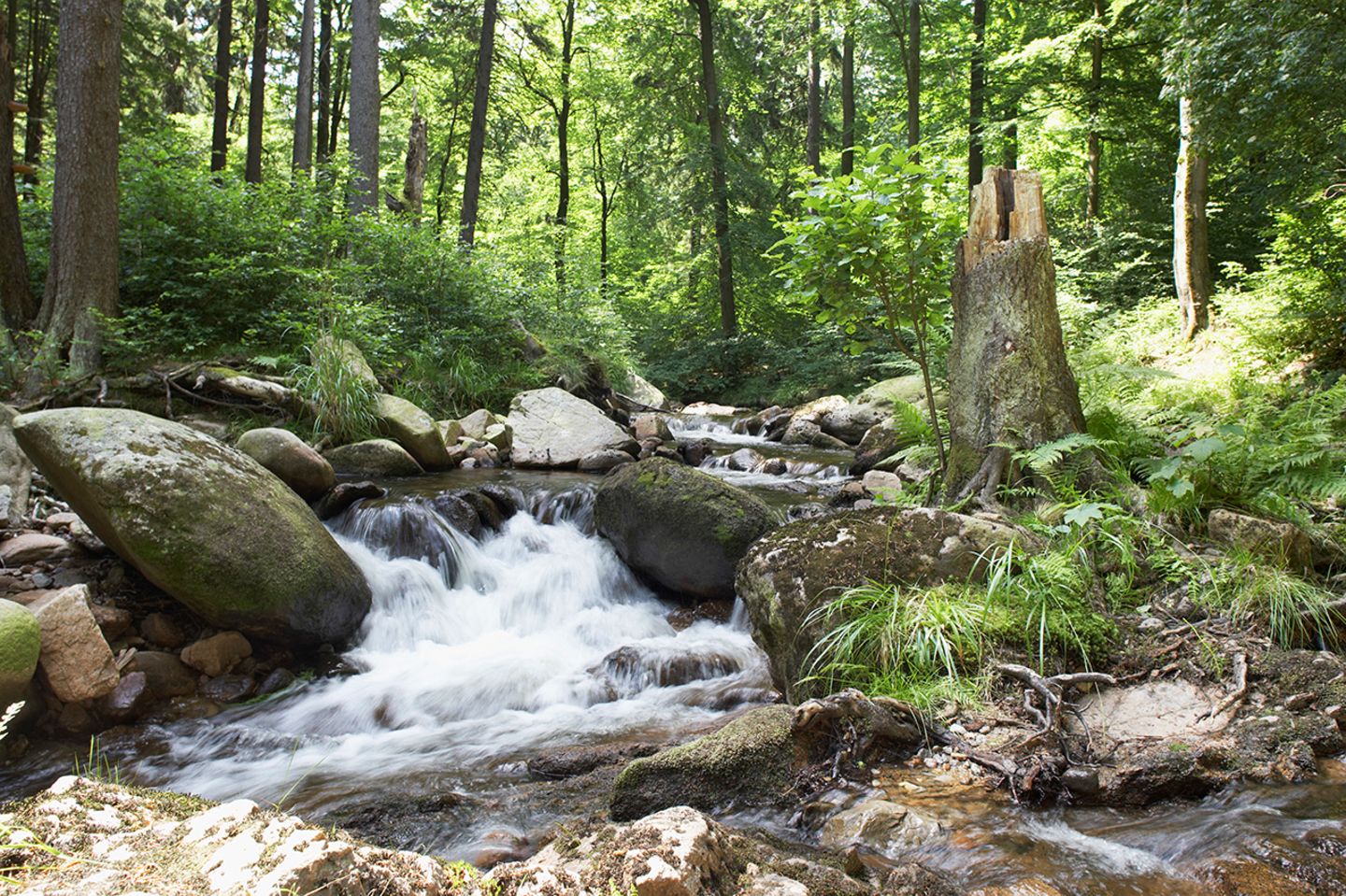 Heinrich Heine Wanderweg