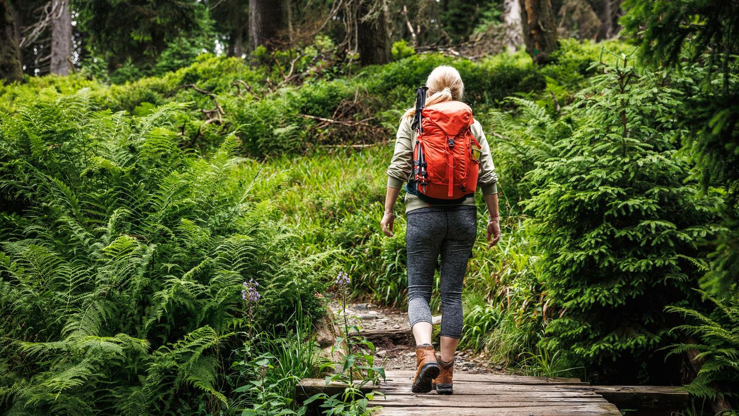 Frau trägt einen Jack Wolfskin Wanderrucksack.
