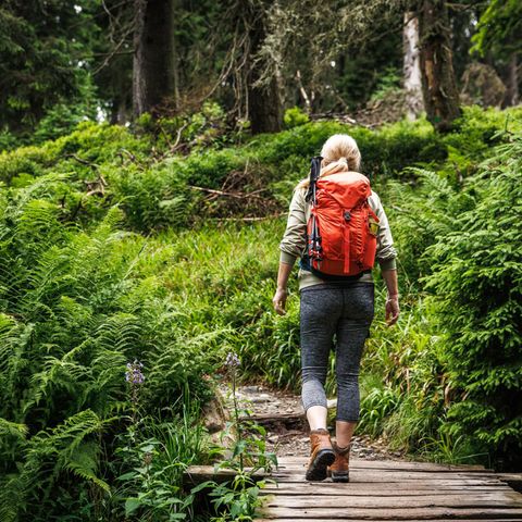 Frau trägt einen Jack Wolfskin Wanderrucksack.