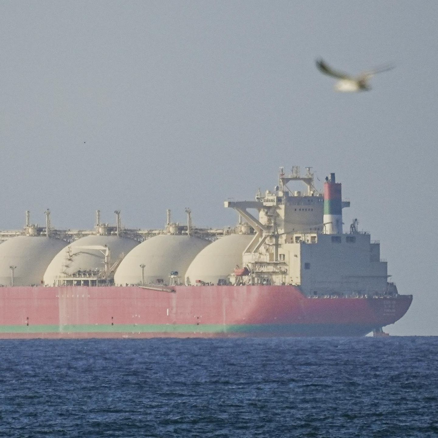 Ein Gastanker liegt vor der Küste des Oman Iran beendet Hormus-Blockade