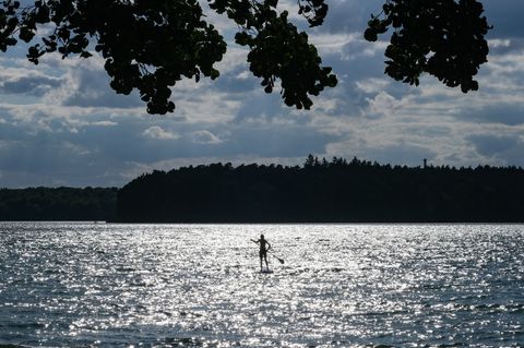 Die Stechlin-Maräne ist jetzt vom Aussterben bedroht (Archivbild) Foto: Jens Kalaene/dpa-Zentralbild/ZB
