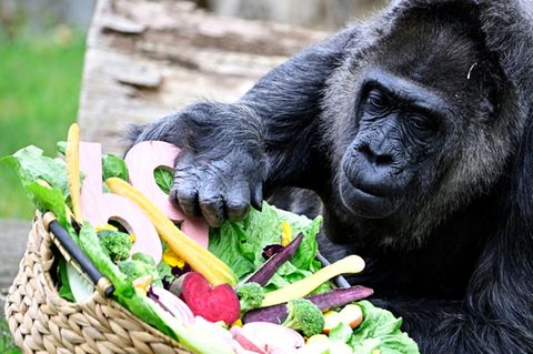 Herzlichen Glückwunsch