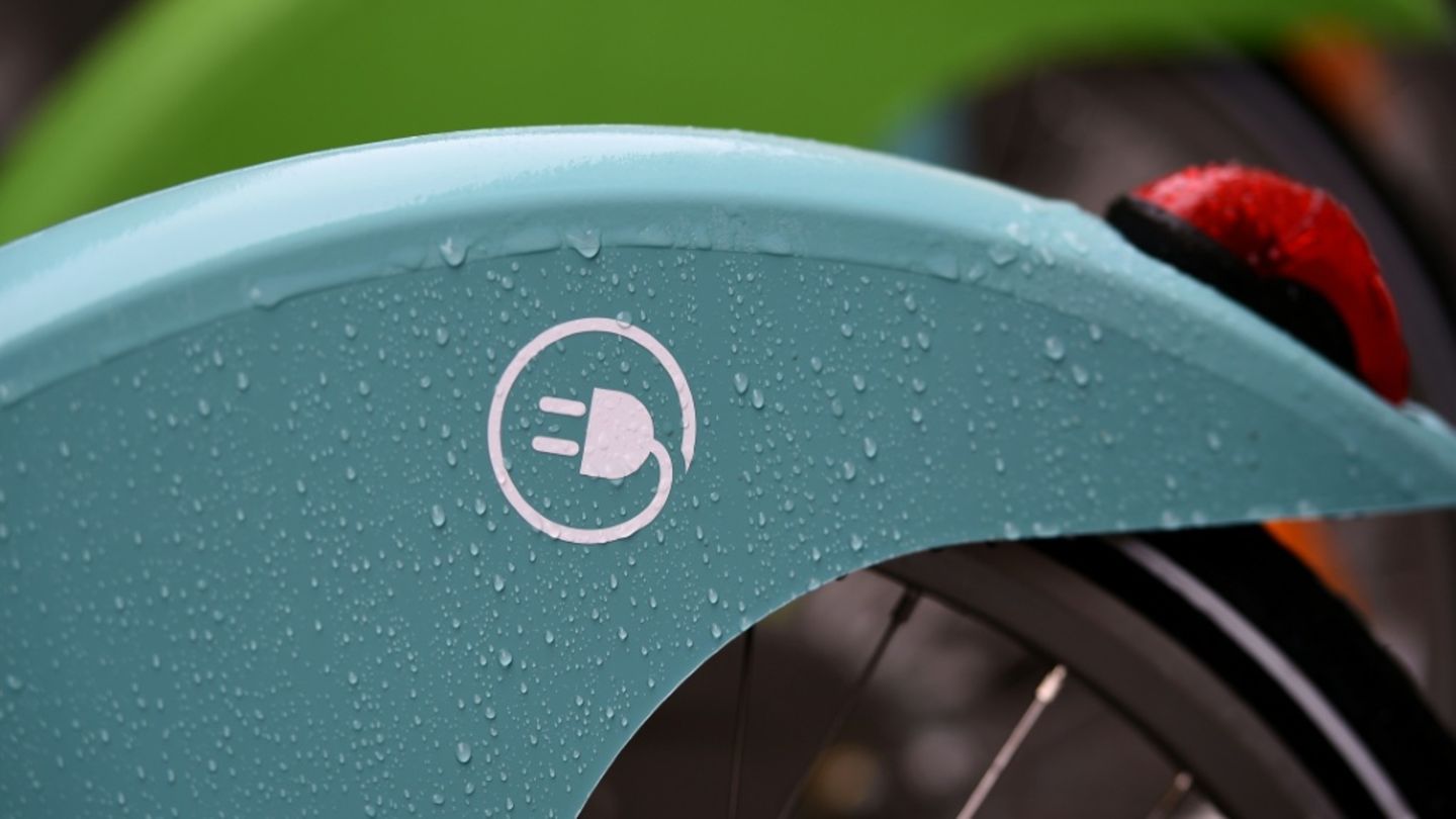 Symbol auf Mietelektrofahrrad