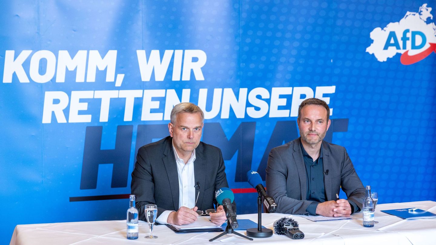 Die AfD in MV hat ein 100-Tage-Programm vorgelegt für den Fall, dass sie nach der Landtagswahl im September in Regierungsverantw