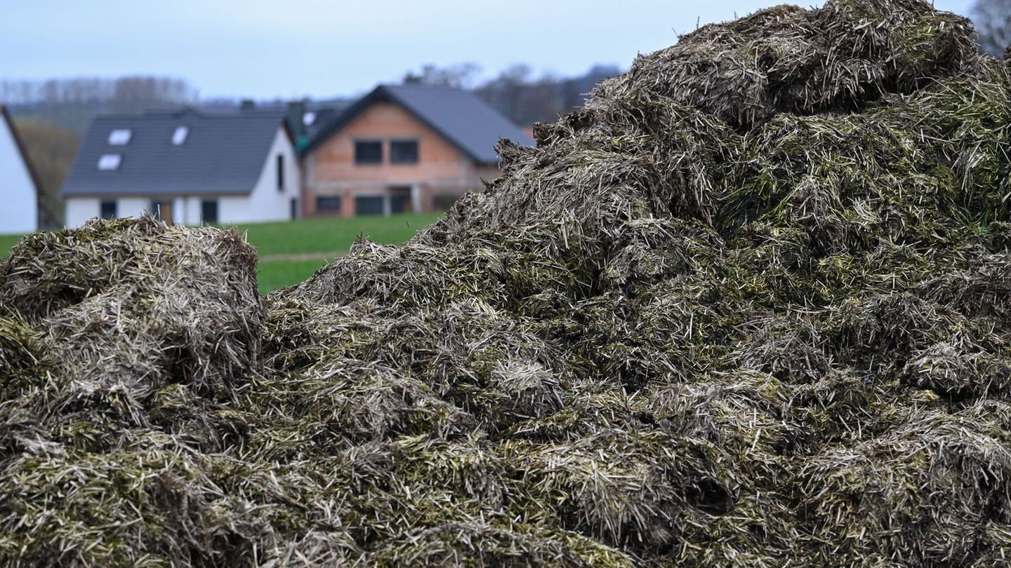Ein Misthaufen entpuppte sich als unerwarteter Freund der Polizei. (Symbolbild) Foto: Arne Dedert/dpa
