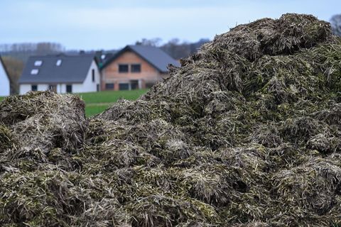 Ein Misthaufen entpuppte sich als unerwarteter Freund der Polizei. (Symbolbild) Foto: Arne Dedert/dpa