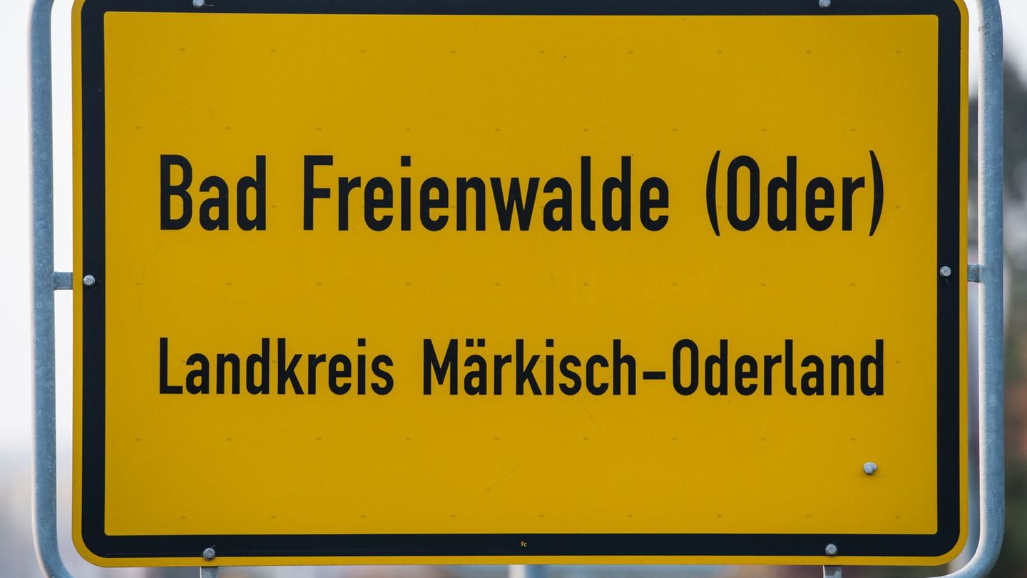 Am 31. Mai soll in Bad Freienwalde wieder ein Demokratiefest stattfinden. (Symbolbild) Foto: Patrick Pleul/dpa-Zentralbild/dpa