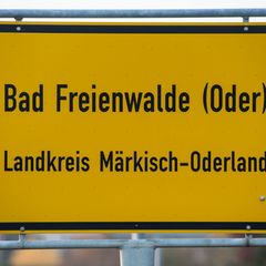 Am 31. Mai soll in Bad Freienwalde wieder ein Demokratiefest stattfinden. (Symbolbild) Foto: Patrick Pleul/dpa-Zentralbild/dpa