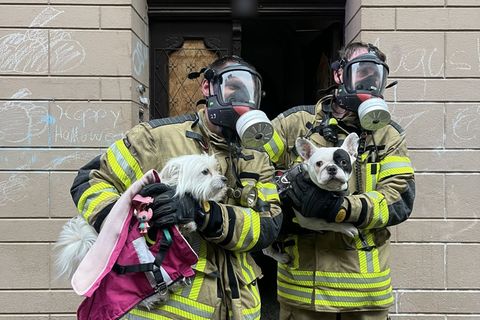 Zwei Hunde rettete die Feuerwehr und übergab sie ihren Besitzern. Foto: -/Feuerwehr Bremerhaven/dpa