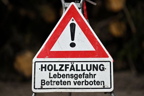 In der Land- und Forstwirtschaft sowie auf Baustellen liegen über einen längeren Zeitraum betrachtet die Schwerpunkte für tödlic