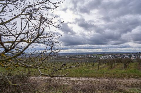 Die Temperaturen steigen auf etwa 14 Grad im Osten und bis zu 17 Grad an Rhein und Main. Foto: Sascha Ditscher/dpa