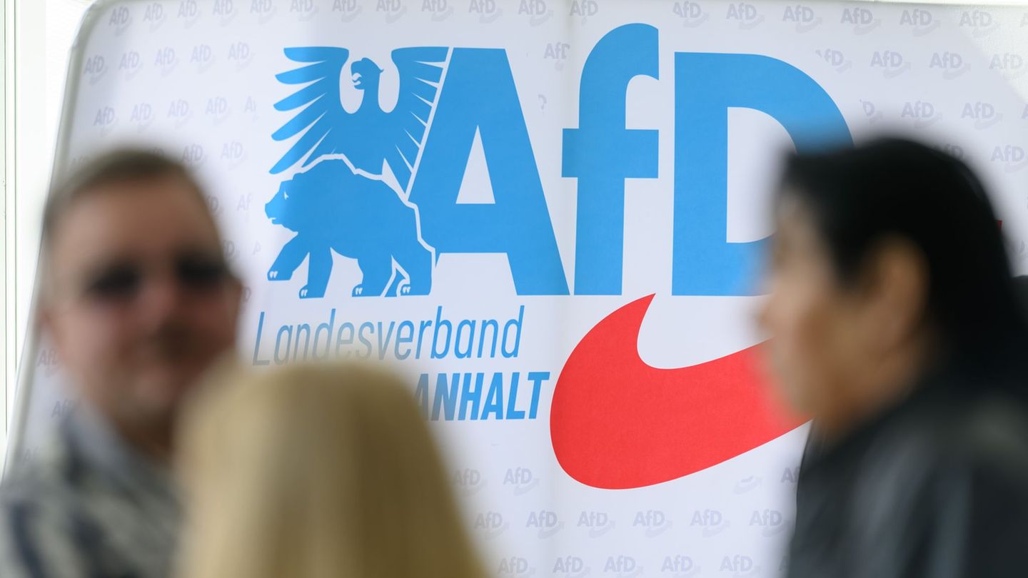 Extremismus: AfD in Sachsen-Anhalt laut Regierung besonders geschlossen