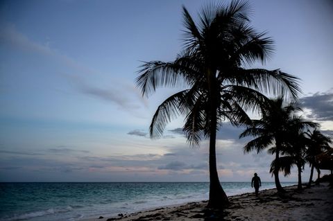 Eine Person geht unter Palmen einen Strand auf den Bahamas entlang
