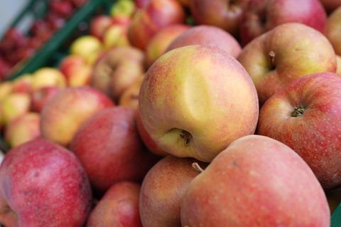 Mit der Teilnahme an dem Programm soll eine gesunde Ernährung gefördert werden. (Symbolbild) Foto: Marcus Brandt/dpa