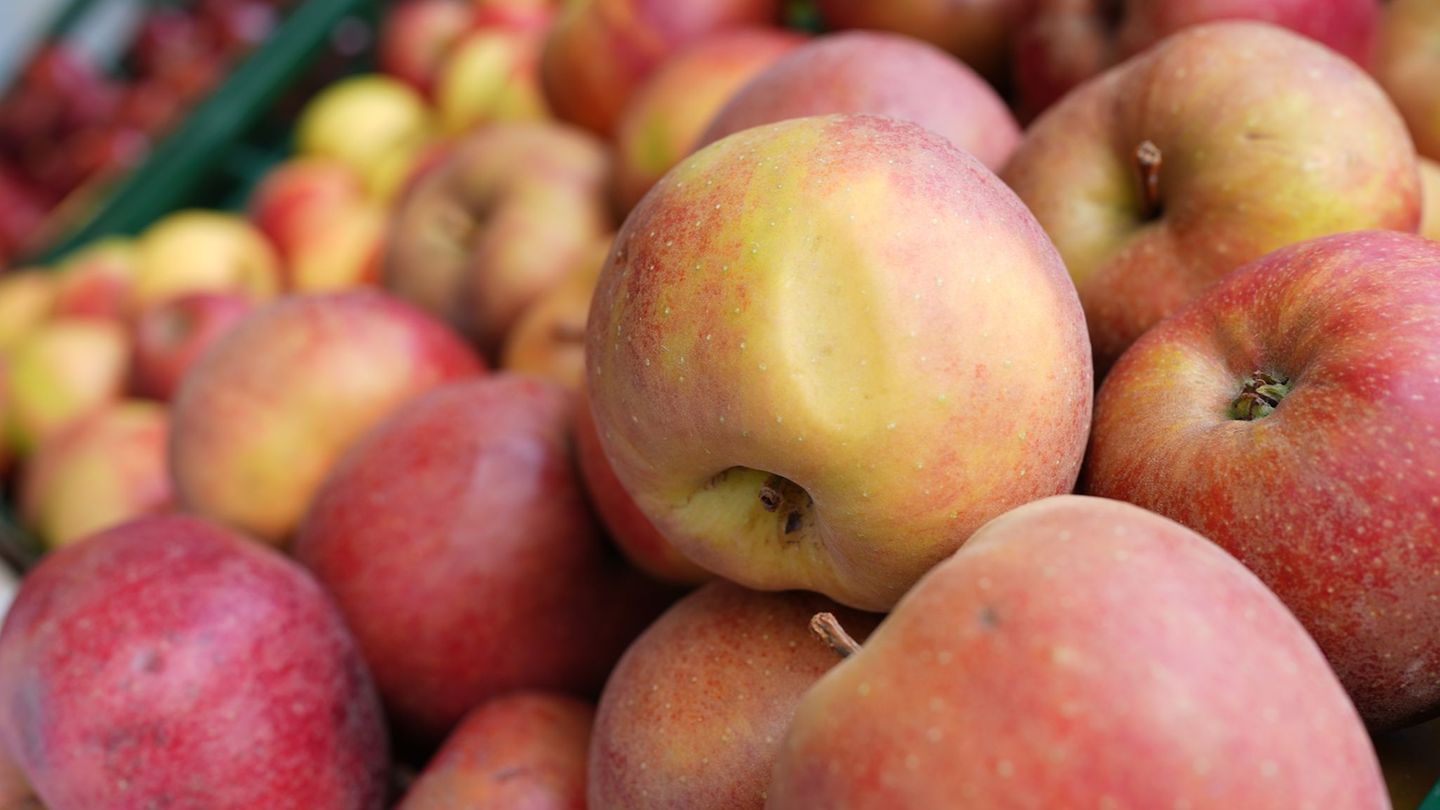 Mit der Teilnahme an dem Programm soll eine gesunde Ernährung gefördert werden. (Symbolbild) Foto: Marcus Brandt/dpa