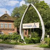 Unterkiefer eines Wals als Eingangstor