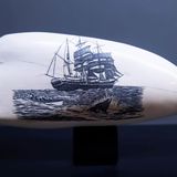 Zeichnung auf Pottwalzahn