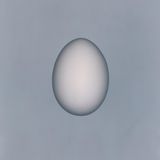 Ein Ei, schlicht und kunstvoll fotografiert