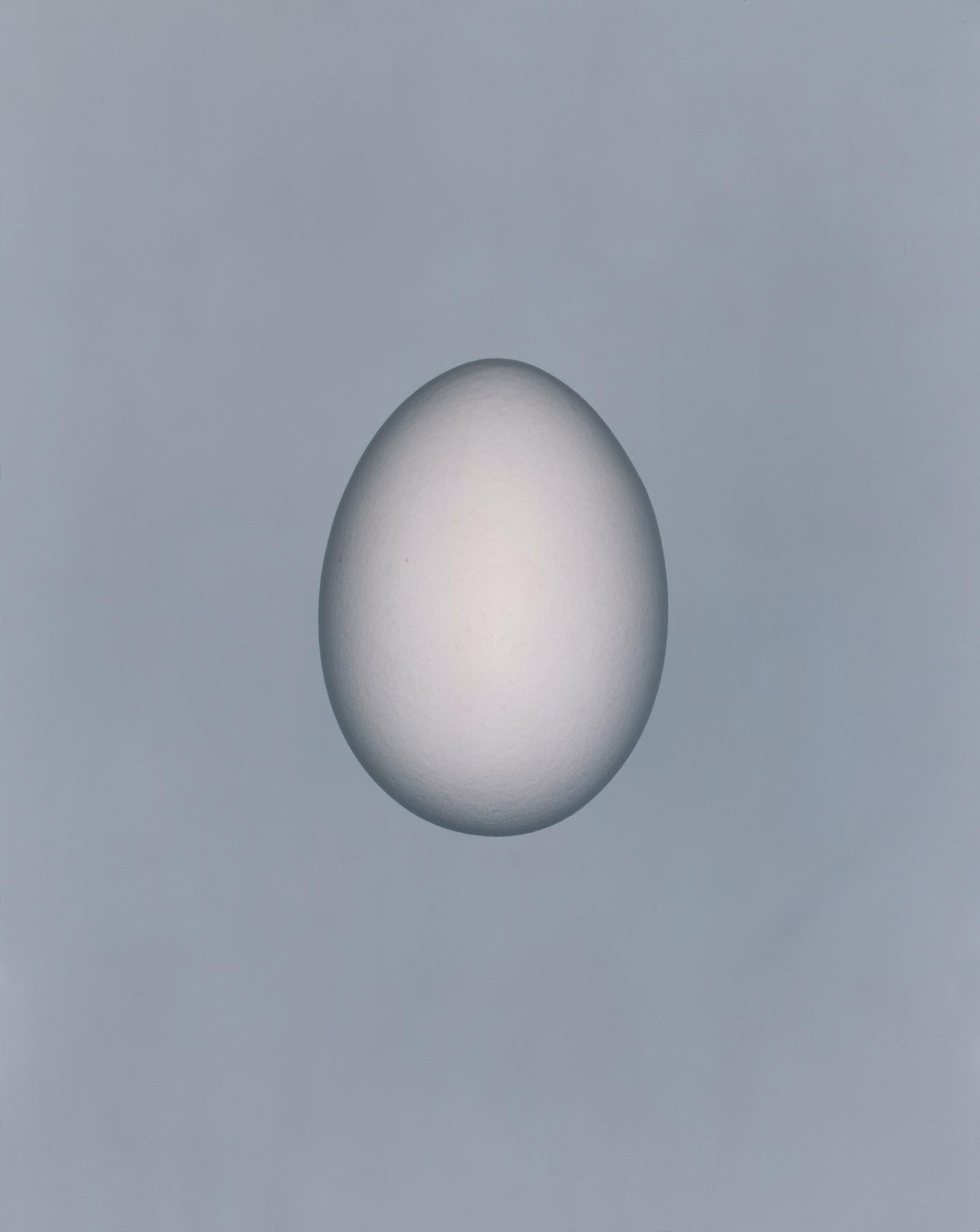 Ein Ei, schlicht und kunstvoll fotografiert