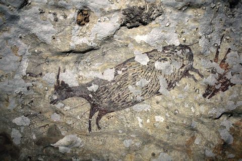Eine Felsmalerei in der sulawesischen Fundstätte Bulu Sipong zeigt eine Jagdszene. Bislang wurden auf Sulawesi 400 Höhlen mit Felsmalereien entdeckt. Das älteste Felsbild wurde aufgrund neuer Forschungsmethoden auf ein Alter von 67.800 Jahren datiert.