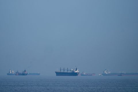 Über die Seerouten um den Iran werden viele Rohstoffe verschifft. (Symbolbild) Foto: Altaf Qadri/AP/dpa