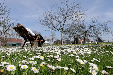 In Baden-Württemberg steigen die Temperaturen von Tag zu Tag. (Archivbild) Foto: Thomas Warnack/dpa