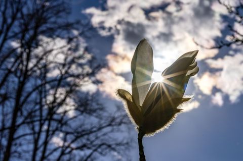 Der Sonnenschein der kommenden Tage wird nur vereinzelt durch Wolken oder Schauer getrübt. (Symbolbild) Foto: Frank Hammerschmid