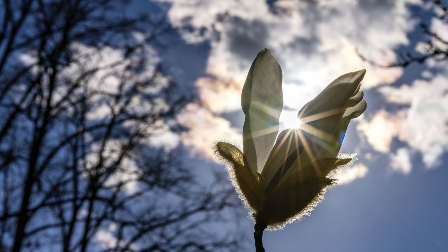 Der Sonnenschein der kommenden Tage wird nur vereinzelt durch Wolken oder Schauer getrübt. (Symbolbild) Foto: Frank Hammerschmid