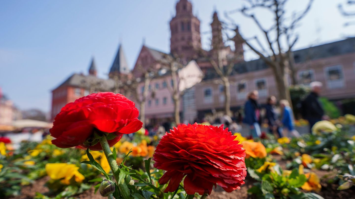 Die Menschen in Rheinland-Pfalz und im Saarland erwartet ein heiterer und trockener Frühlingstag. (Archivbild) Foto: Andreas Arn