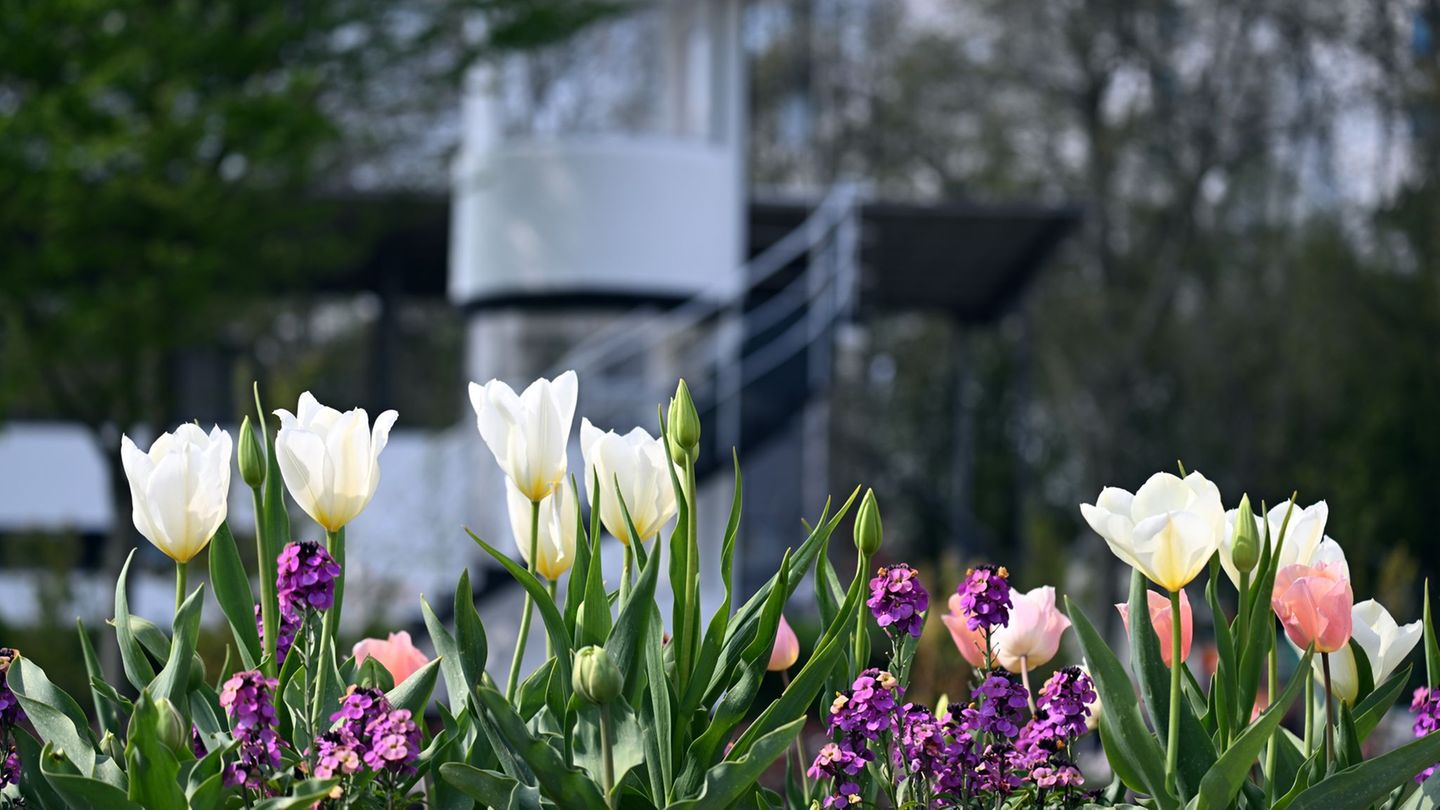 In den kommenden Tagen den Regenschirm nicht vergessen, etwa für die Landesgartenschau in Neuss. (Archivbild) Foto: Federico Gam