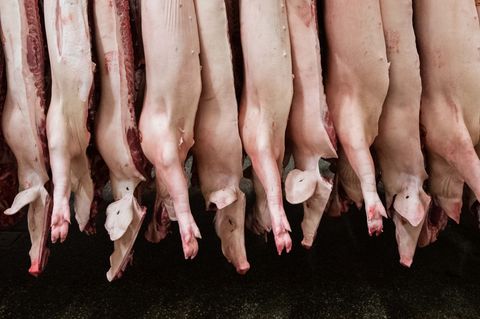 Geklagt hatte ein Unternehmen, dass sich auf die Zerlegung von Schweineköpfen spezialisiert. (Archivbild) Foto: Mohssen Assanimo