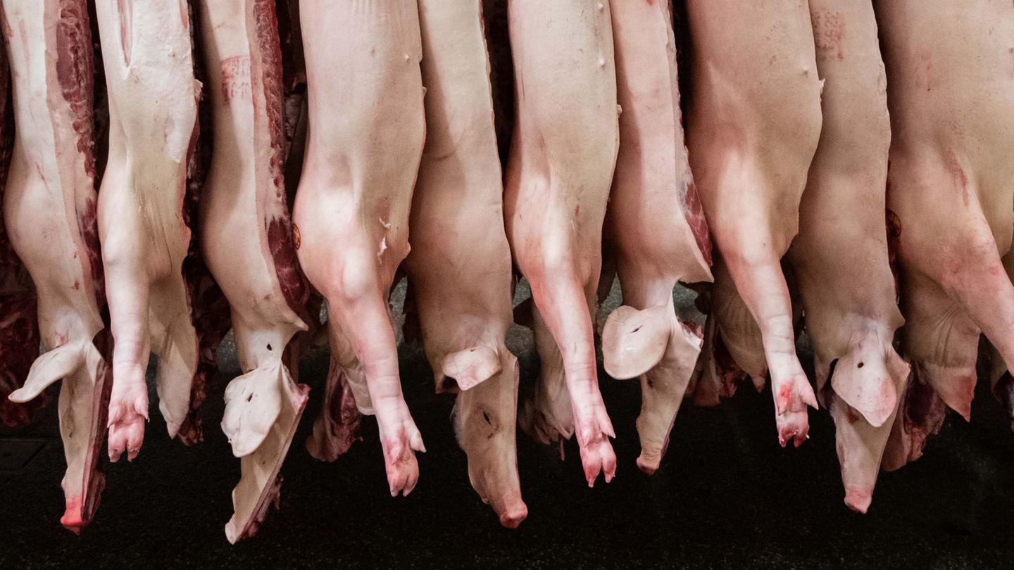 Geklagt hatte ein Unternehmen, dass sich auf die Zerlegung von Schweineköpfen spezialisiert. (Archivbild) Foto: Mohssen Assanimo