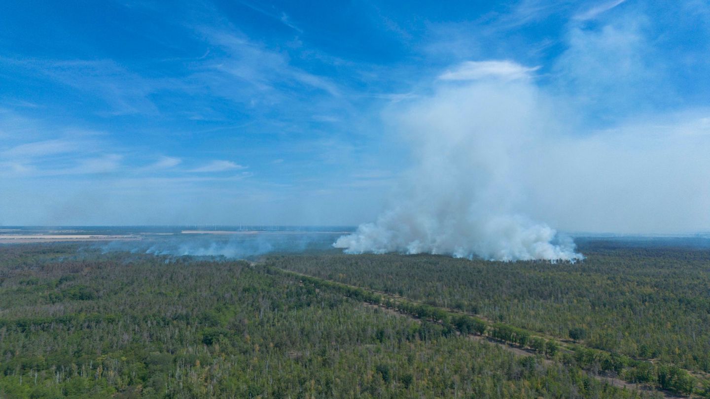 Waldbrand Gohrischheide – Hitze entzündet wohl Altmunition. (Archivbild) Foto: Daniel Wagner/dpa